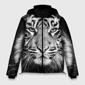 Мужская зимняя куртка 3D с принтом Красавец тигр в Санкт-Петербурге, верх — 100% полиэстер; подкладка — 100% полиэстер; утеплитель — 100% полиэстер | длина ниже бедра, свободный силуэт Оверсайз. Есть воротник-стойка, отстегивающийся капюшон и ветрозащитная планка. 

Боковые карманы с листочкой на кнопках и внутренний карман на молнии. | Тематика изображения на принте: джунгли | дикая кошка | животные | зверь | король | кровь | мясо | опасность | охотник | тигр | хищник | царь | цирк