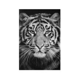 Обложка для паспорта матовая кожа с принтом Красавец тигр в Санкт-Петербурге, натуральная матовая кожа | размер 19,3 х 13,7 см; прозрачные пластиковые крепления | джунгли | дикая кошка | животные | зверь | король | кровь | мясо | опасность | охотник | тигр | хищник | царь | цирк