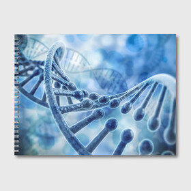 Альбом для рисования с принтом Молекула ДНК в Санкт-Петербурге, 100% бумага
 | матовая бумага, плотность 200 мг. | dna | биохимия | внешность | ген | генетика | днк | молекула | наследственность | спираль | способности | структура | характер | черты