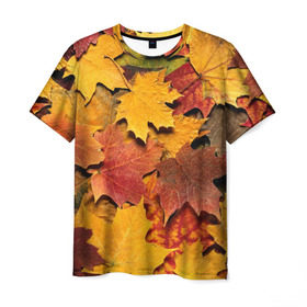 Мужская футболка 3D с принтом Осень на дворе в Санкт-Петербурге, 100% полиэфир | прямой крой, круглый вырез горловины, длина до линии бедер | бордовый | жёлтый | красный | листва | листья