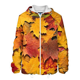 Мужская куртка 3D с принтом Осень на дворе в Санкт-Петербурге, ткань верха — 100% полиэстер, подклад — флис | прямой крой, подол и капюшон оформлены резинкой с фиксаторами, два кармана без застежек по бокам, один большой потайной карман на груди. Карман на груди застегивается на липучку | бордовый | жёлтый | красный | листва | листья