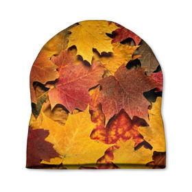 Шапка 3D с принтом Осень на дворе в Санкт-Петербурге, 100% полиэстер | универсальный размер, печать по всей поверхности изделия | бордовый | жёлтый | красный | листва | листья