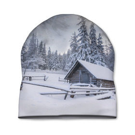 Шапка 3D с принтом Зима в Санкт-Петербурге, 100% полиэстер | универсальный размер, печать по всей поверхности изделия | вьюга | горы | зима | лес | метель | мороз | пейзаж | природа | пурга | снег | снегопад | сосулька | стужа | сугроб | холод