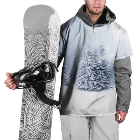 Накидка на куртку 3D с принтом Зимняя пора в Санкт-Петербурге, 100% полиэстер |  | Тематика изображения на принте: вьюга | горы | зима | лес | метель | мороз | пейзаж | пурга | снег | снегопад | сосулька | стужа | сугроб | холод