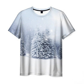 Мужская футболка 3D с принтом Зимняя пора в Санкт-Петербурге, 100% полиэфир | прямой крой, круглый вырез горловины, длина до линии бедер | вьюга | горы | зима | лес | метель | мороз | пейзаж | пурга | снег | снегопад | сосулька | стужа | сугроб | холод