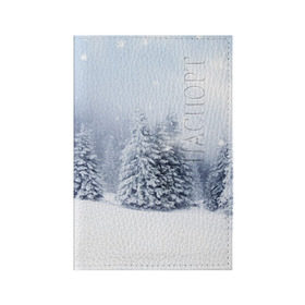 Обложка для паспорта матовая кожа с принтом Зимняя пора в Санкт-Петербурге, натуральная матовая кожа | размер 19,3 х 13,7 см; прозрачные пластиковые крепления | Тематика изображения на принте: вьюга | горы | зима | лес | метель | мороз | пейзаж | пурга | снег | снегопад | сосулька | стужа | сугроб | холод