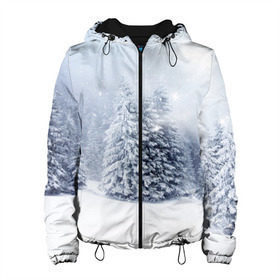 Женская куртка 3D с принтом Зимняя пора в Санкт-Петербурге, ткань верха — 100% полиэстер, подклад — флис | прямой крой, подол и капюшон оформлены резинкой с фиксаторами, два кармана без застежек по бокам, один большой потайной карман на груди. Карман на груди застегивается на липучку | вьюга | горы | зима | лес | метель | мороз | пейзаж | пурга | снег | снегопад | сосулька | стужа | сугроб | холод