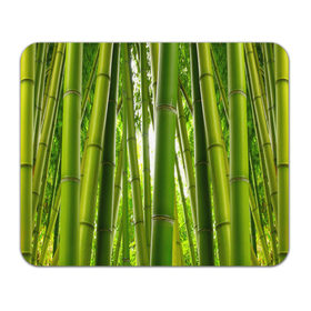 Коврик прямоугольный с принтом Бамбук в Санкт-Петербурге, натуральный каучук | размер 230 х 185 мм; запечатка лицевой стороны | бамбук | зеленая | растения