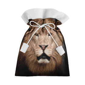 Подарочный 3D мешок с принтом Царь зверей в Санкт-Петербурге, 100% полиэстер | Размер: 29*39 см | власть | дикая кошка | животное | король джунглей | лев | львица | мощь | мудрость | охотник | сила | хитрость | хищник | царь зверей