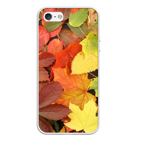 Чехол силиконовый для Телефон Apple iPhone 5/5S с принтом Осенние листья в Санкт-Петербурге, Силикон | Область печати: задняя сторона чехла, без боковых панелей | Тематика изображения на принте: жёлтый | красный | листва | оранжевый | осень