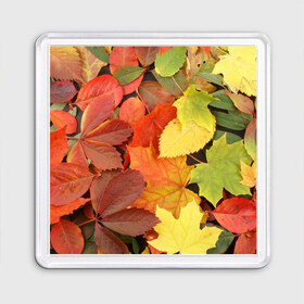 Магнит 55*55 с принтом Осенние листья в Санкт-Петербурге, Пластик | Размер: 65*65 мм; Размер печати: 55*55 мм | жёлтый | красный | листва | оранжевый | осень