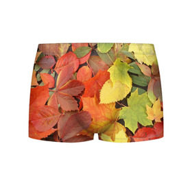 Мужские трусы 3D с принтом Осенние листья в Санкт-Петербурге, 50% хлопок, 50% полиэстер | классическая посадка, на поясе мягкая тканевая резинка | жёлтый | красный | листва | оранжевый | осень