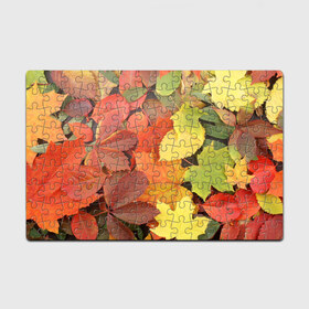 Пазл магнитный 126 элементов с принтом Осенние листья в Санкт-Петербурге, полимерный материал с магнитным слоем | 126 деталей, размер изделия —  180*270 мм | жёлтый | красный | листва | оранжевый | осень
