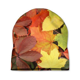 Шапка 3D с принтом Осенние листья в Санкт-Петербурге, 100% полиэстер | универсальный размер, печать по всей поверхности изделия | жёлтый | красный | листва | оранжевый | осень