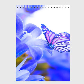 Скетчбук с принтом Бабочки в Санкт-Петербурге, 100% бумага
 | 48 листов, плотность листов — 100 г/м2, плотность картонной обложки — 250 г/м2. Листы скреплены сверху удобной пружинной спиралью | бабочки | красота | природа | синяя | цветы