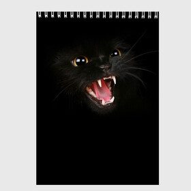 Скетчбук с принтом Чёрный кот в Санкт-Петербурге, 100% бумага
 | 48 листов, плотность листов — 100 г/м2, плотность картонной обложки — 250 г/м2. Листы скреплены сверху удобной пружинной спиралью | Тематика изображения на принте: киска | кот | кошка