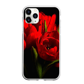 Чехол для iPhone 11 Pro матовый с принтом Тюльпаны в Санкт-Петербурге, Силикон |  | Тематика изображения на принте: букет | красота | поле | природа | тюльпаны | цветы