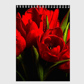 Скетчбук с принтом Тюльпаны в Санкт-Петербурге, 100% бумага
 | 48 листов, плотность листов — 100 г/м2, плотность картонной обложки — 250 г/м2. Листы скреплены сверху удобной пружинной спиралью | букет | красота | поле | природа | тюльпаны | цветы