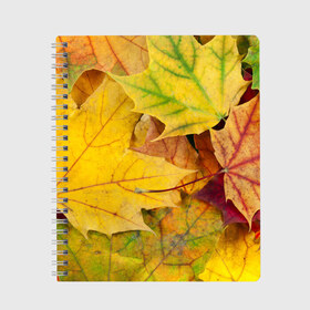 Тетрадь с принтом Осенние листья в Санкт-Петербурге, 100% бумага | 48 листов, плотность листов — 60 г/м2, плотность картонной обложки — 250 г/м2. Листы скреплены сбоку удобной пружинной спиралью. Уголки страниц и обложки скругленные. Цвет линий — светло-серый
 | жёлтый | зелёный | клён | листва