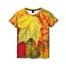 Женская футболка 3D с принтом Кленовые листья в Санкт-Петербурге, 100% полиэфир ( синтетическое хлопкоподобное полотно) | прямой крой, круглый вырез горловины, длина до линии бедер | жёлтый | зелёный | красный | листва | оранжевый | осень