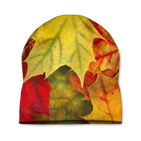 Шапка 3D с принтом Кленовые листья в Санкт-Петербурге, 100% полиэстер | универсальный размер, печать по всей поверхности изделия | жёлтый | зелёный | красный | листва | оранжевый | осень