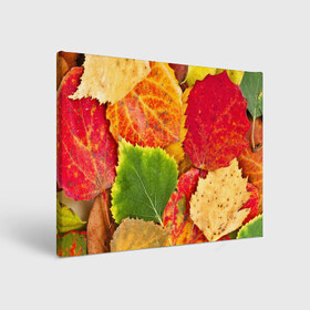 Холст прямоугольный с принтом Осень в Санкт-Петербурге, 100% ПВХ |  | берёза | дары осени | жёлтый | зелёный | золотой | краски | красный | красота | листва | листья | наряд | оранжевый | осень | осина | покров | природа