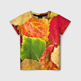 Детская футболка 3D с принтом Осень в Санкт-Петербурге, 100% гипоаллергенный полиэфир | прямой крой, круглый вырез горловины, длина до линии бедер, чуть спущенное плечо, ткань немного тянется | берёза | дары осени | жёлтый | зелёный | золотой | краски | красный | красота | листва | листья | наряд | оранжевый | осень | осина | покров | природа