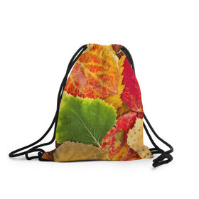 Рюкзак-мешок 3D с принтом Осень в Санкт-Петербурге, 100% полиэстер | плотность ткани — 200 г/м2, размер — 35 х 45 см; лямки — толстые шнурки, застежка на шнуровке, без карманов и подкладки | Тематика изображения на принте: берёза | дары осени | жёлтый | зелёный | золотой | краски | красный | красота | листва | листья | наряд | оранжевый | осень | осина | покров | природа