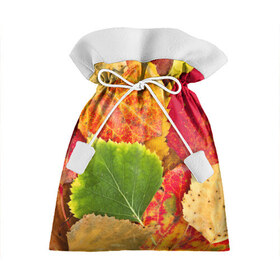 Подарочный 3D мешок с принтом Осень в Санкт-Петербурге, 100% полиэстер | Размер: 29*39 см | берёза | дары осени | жёлтый | зелёный | золотой | краски | красный | красота | листва | листья | наряд | оранжевый | осень | осина | покров | природа