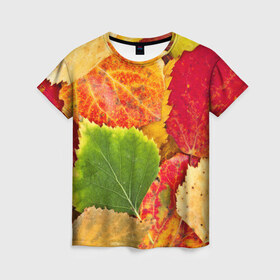 Женская футболка 3D с принтом Осень в Санкт-Петербурге, 100% полиэфир ( синтетическое хлопкоподобное полотно) | прямой крой, круглый вырез горловины, длина до линии бедер | берёза | дары осени | жёлтый | зелёный | золотой | краски | красный | красота | листва | листья | наряд | оранжевый | осень | осина | покров | природа