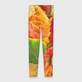 Леггинсы 3D с принтом Осень в Санкт-Петербурге, 80% полиэстер, 20% эластан | Эластичный пояс, зауженные к низу, низкая посадка | берёза | дары осени | жёлтый | зелёный | золотой | краски | красный | красота | листва | листья | наряд | оранжевый | осень | осина | покров | природа
