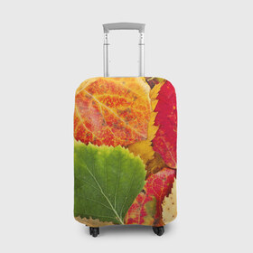 Чехол для чемодана 3D с принтом Осень в Санкт-Петербурге, 86% полиэфир, 14% спандекс | двустороннее нанесение принта, прорези для ручек и колес | берёза | дары осени | жёлтый | зелёный | золотой | краски | красный | красота | листва | листья | наряд | оранжевый | осень | осина | покров | природа