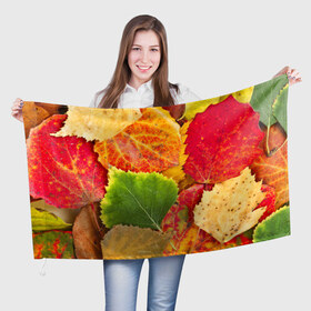 Флаг 3D с принтом Осень в Санкт-Петербурге, 100% полиэстер | плотность ткани — 95 г/м2, размер — 67 х 109 см. Принт наносится с одной стороны | берёза | дары осени | жёлтый | зелёный | золотой | краски | красный | красота | листва | листья | наряд | оранжевый | осень | осина | покров | природа