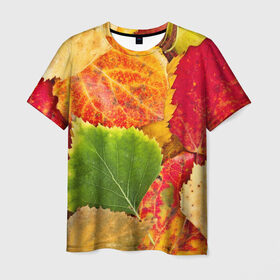 Мужская футболка 3D с принтом Осень в Санкт-Петербурге, 100% полиэфир | прямой крой, круглый вырез горловины, длина до линии бедер | Тематика изображения на принте: берёза | дары осени | жёлтый | зелёный | золотой | краски | красный | красота | листва | листья | наряд | оранжевый | осень | осина | покров | природа