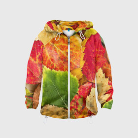 Детская ветровка 3D с принтом Осень в Санкт-Петербурге, 100% полиэстер | подол и капюшон оформлены резинкой с фиксаторами, по бокам два кармана без застежек, один потайной карман на груди | берёза | дары осени | жёлтый | зелёный | золотой | краски | красный | красота | листва | листья | наряд | оранжевый | осень | осина | покров | природа