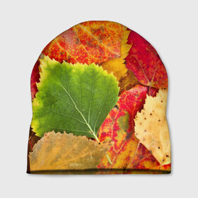 Шапка 3D с принтом Осень в Санкт-Петербурге, 100% полиэстер | универсальный размер, печать по всей поверхности изделия | Тематика изображения на принте: берёза | дары осени | жёлтый | зелёный | золотой | краски | красный | красота | листва | листья | наряд | оранжевый | осень | осина | покров | природа