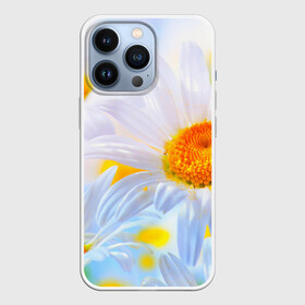 Чехол для iPhone 13 Pro с принтом Ромашки в Санкт-Петербурге,  |  | красота | поле | природа | ромашка | цветы