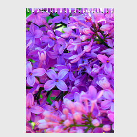 Скетчбук с принтом Сирень в Санкт-Петербурге, 100% бумага
 | 48 листов, плотность листов — 100 г/м2, плотность картонной обложки — 250 г/м2. Листы скреплены сверху удобной пружинной спиралью | весна | красота | сирень | цветы