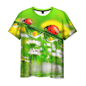 Мужская футболка 3D с принтом Макро в Санкт-Петербурге, 100% полиэфир | прямой крой, круглый вырез горловины, длина до линии бедер | Тематика изображения на принте: божья коровка | насекомые | одуванчик | природа | цветы
