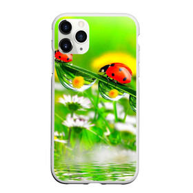 Чехол для iPhone 11 Pro матовый с принтом Макро в Санкт-Петербурге, Силикон |  | божья коровка | насекомые | одуванчик | природа | цветы