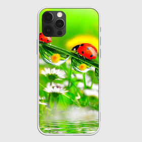 Чехол для iPhone 12 Pro Max с принтом Макро в Санкт-Петербурге, Силикон |  | Тематика изображения на принте: божья коровка | насекомые | одуванчик | природа | цветы