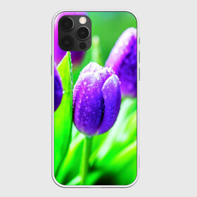 Чехол для iPhone 12 Pro Max с принтом Тюльпаны в Санкт-Петербурге, Силикон |  | Тематика изображения на принте: красота | поле | природа | тюльпаны | цветы