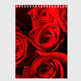 Скетчбук с принтом Розы в Санкт-Петербурге, 100% бумага
 | 48 листов, плотность листов — 100 г/м2, плотность картонной обложки — 250 г/м2. Листы скреплены сверху удобной пружинной спиралью | красная | роза | роса | цветок