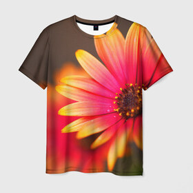 Мужская футболка 3D с принтом Цветы в Санкт-Петербурге, 100% полиэфир | прямой крой, круглый вырез горловины, длина до линии бедер | 3д | красивая | природа | цветок