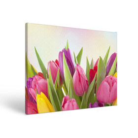 Холст прямоугольный с принтом Тюльпаны в Санкт-Петербурге, 100% ПВХ |  | 8 марта | аромат | букет | вазон | великолепие | дача | девушки | женщины | краски | красота | куст | лужайка | милые цветы | огород | палитра | прелесть | радуга | растение | тюльпаны