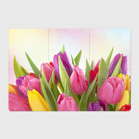 Магнитный плакат 3Х2 с принтом Тюльпаны в Санкт-Петербурге, Полимерный материал с магнитным слоем | 6 деталей размером 9*9 см | 8 марта | аромат | букет | вазон | великолепие | дача | девушки | женщины | краски | красота | куст | лужайка | милые цветы | огород | палитра | прелесть | радуга | растение | тюльпаны