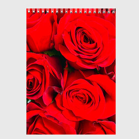 Скетчбук с принтом Розы в Санкт-Петербурге, 100% бумага
 | 48 листов, плотность листов — 100 г/м2, плотность картонной обложки — 250 г/м2. Листы скреплены сверху удобной пружинной спиралью | букет | красная | лепестки | роза | цветы