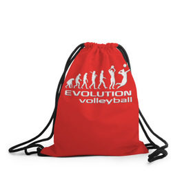 Рюкзак-мешок 3D с принтом Волейбол 23 в Санкт-Петербурге, 100% полиэстер | плотность ткани — 200 г/м2, размер — 35 х 45 см; лямки — толстые шнурки, застежка на шнуровке, без карманов и подкладки | evolution | volleyball | волейбол