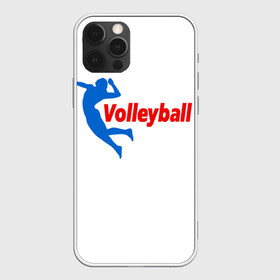 Чехол для iPhone 12 Pro с принтом Волейбол 31 в Санкт-Петербурге, силикон | область печати: задняя сторона чехла, без боковых панелей | Тематика изображения на принте: volleyball | волейбол