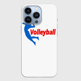 Чехол для iPhone 13 Pro с принтом Волейбол 31 в Санкт-Петербурге,  |  | Тематика изображения на принте: volleyball | волейбол
